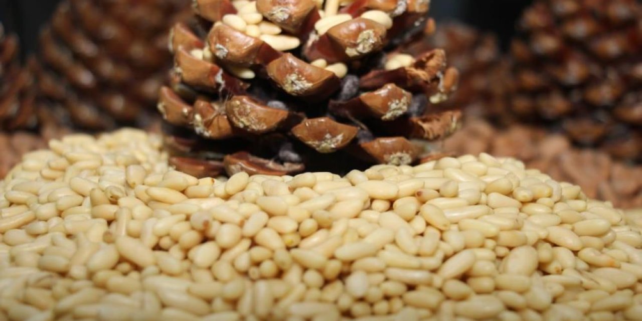 Aydın Çam Fıstığı, Avrupa Birliği’nde ilan edildi