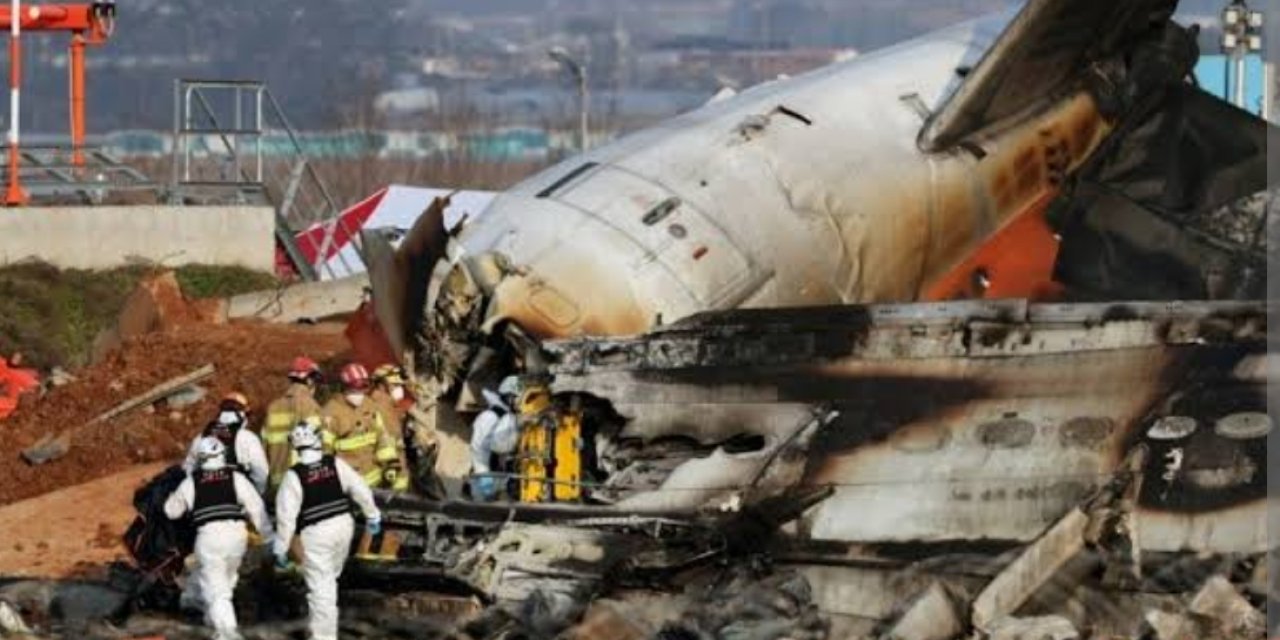 Güney Kore, uçaklara kuş çarpma riskine karşı harekete geçti