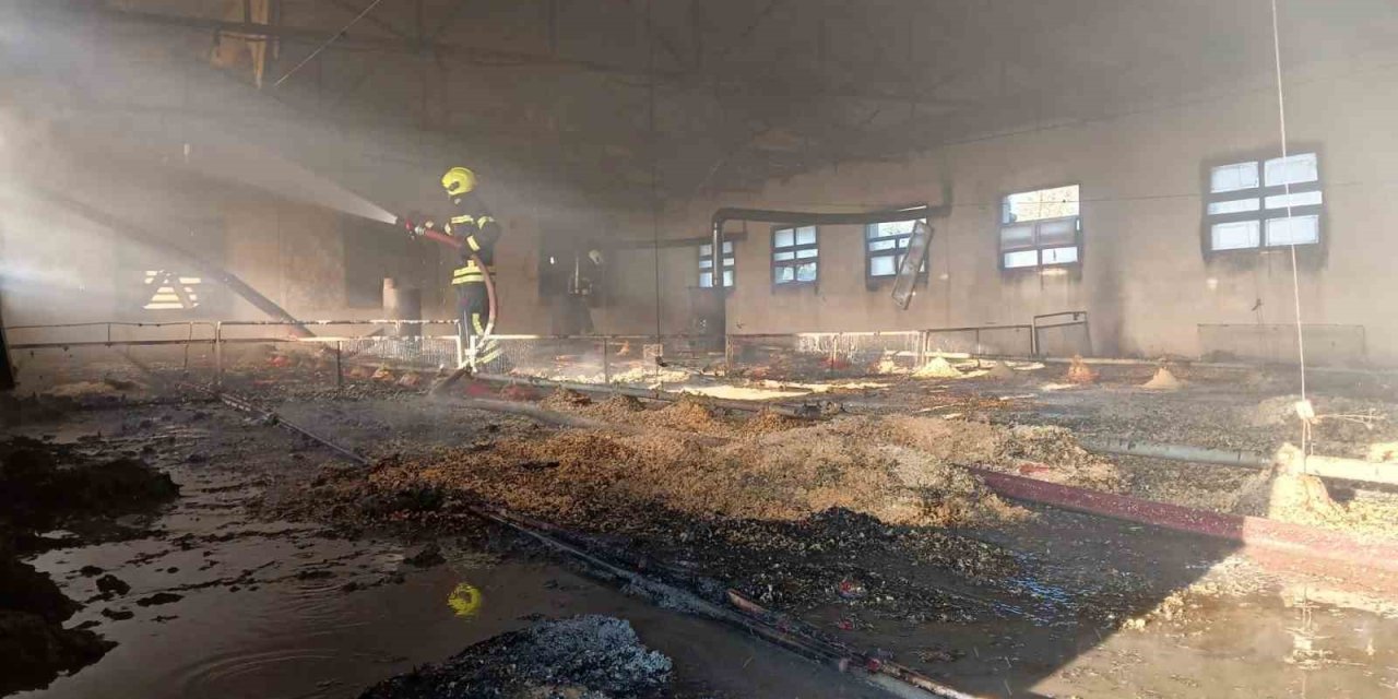 Tarsus’ta tavuk çiftliğinde çıkan yangında binlerce civciv kül oldu