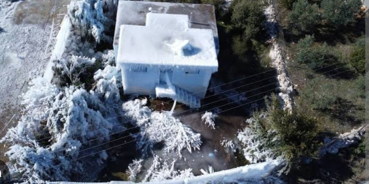 Mersin’de şeftali ağaçları buz tuttu