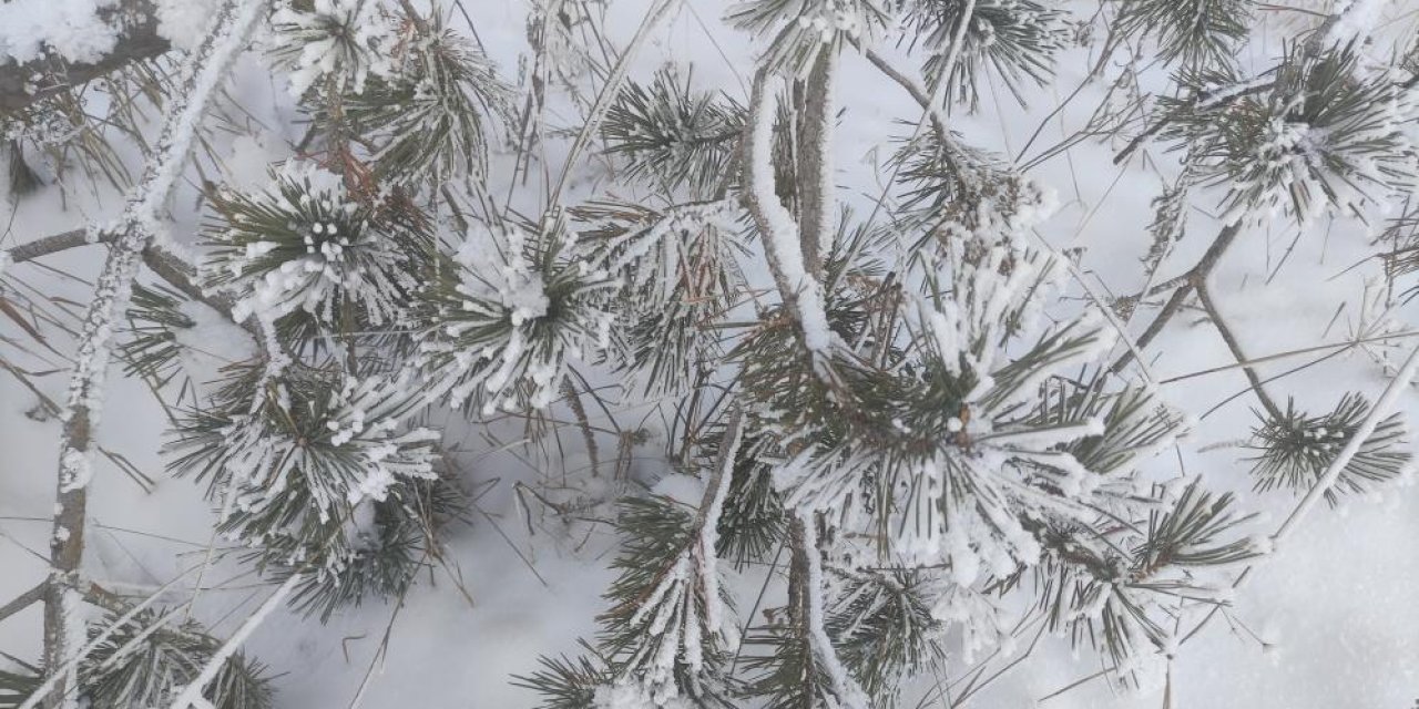 Göle eksi 32,1 derece ile  Türkiye rekoru kırdı
