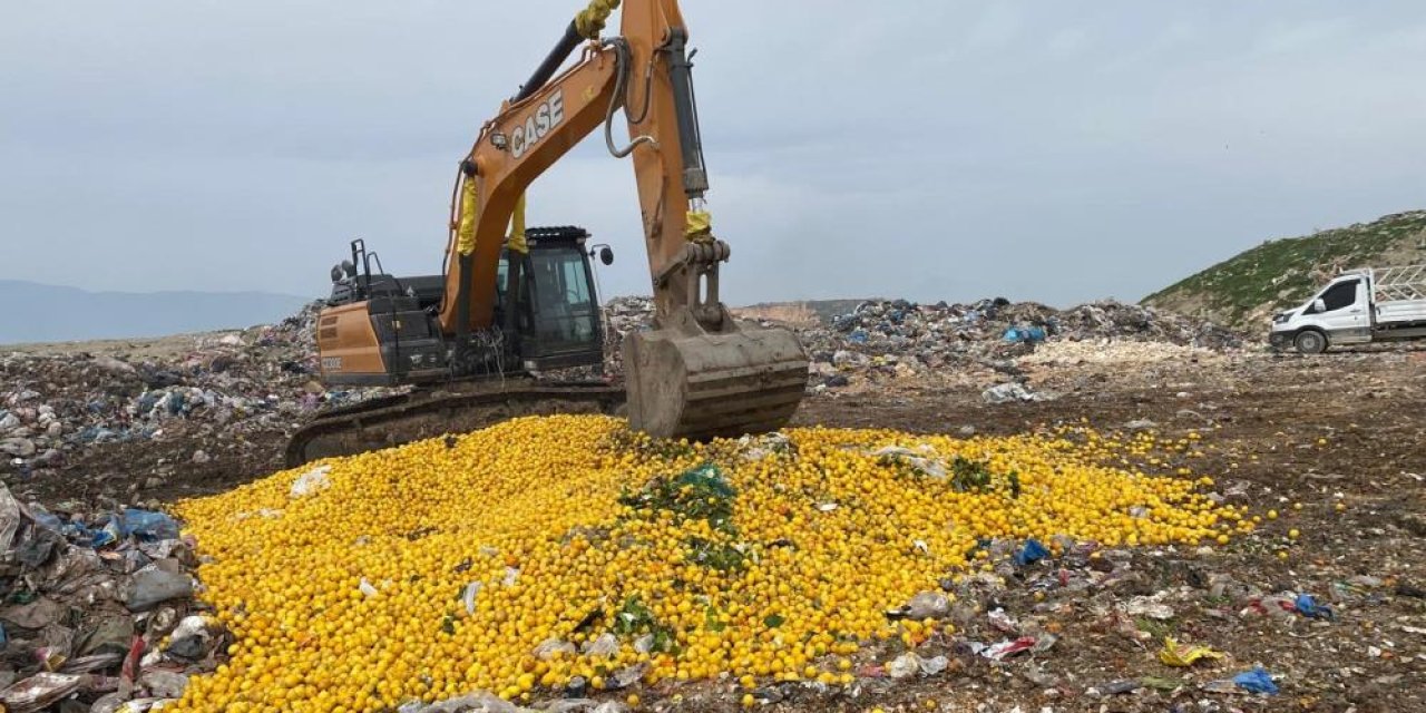 Pestisit tespit edilen Dubai’ye ihraç edilecek tonlarca limon imha edildi