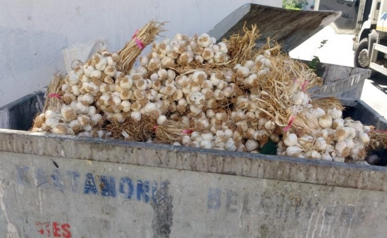 Kilolarca sarımsağı çöp konteynerine attılar İŞTE ATMA NEDENLERİ !