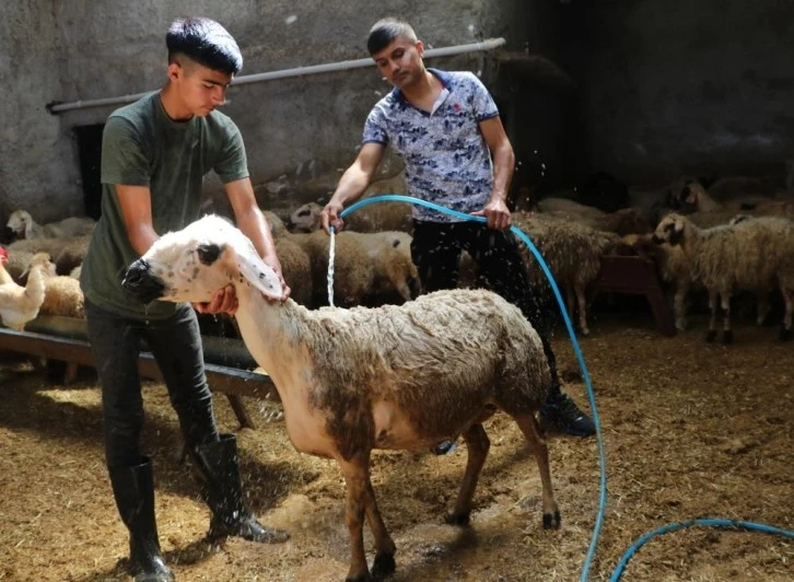 Adana'da Sıcaklık 52 dereceye ulaştı