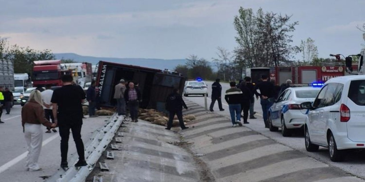 Devrilen kamyonda 53 koyun telef oldu