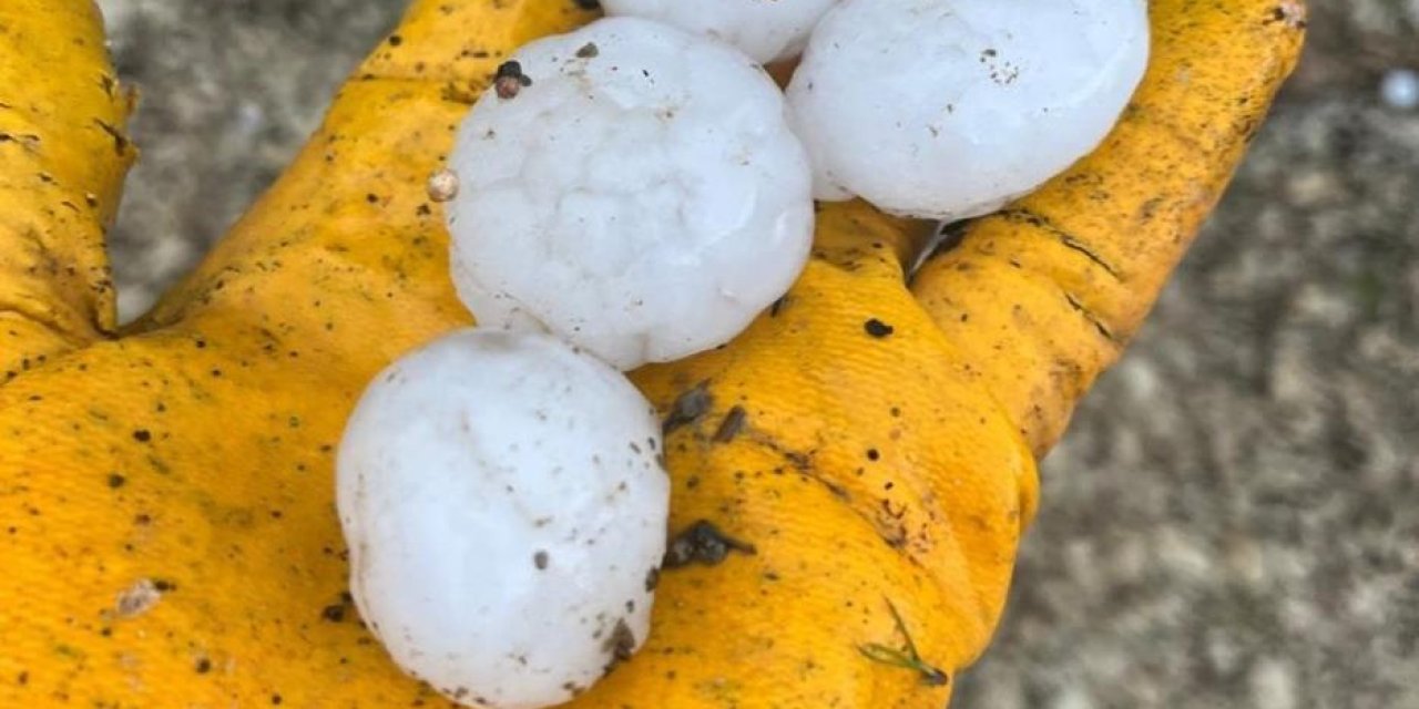 Kahramanmaraş'ta ceviz büyüklüğünde dolu tarıma zarar verdi