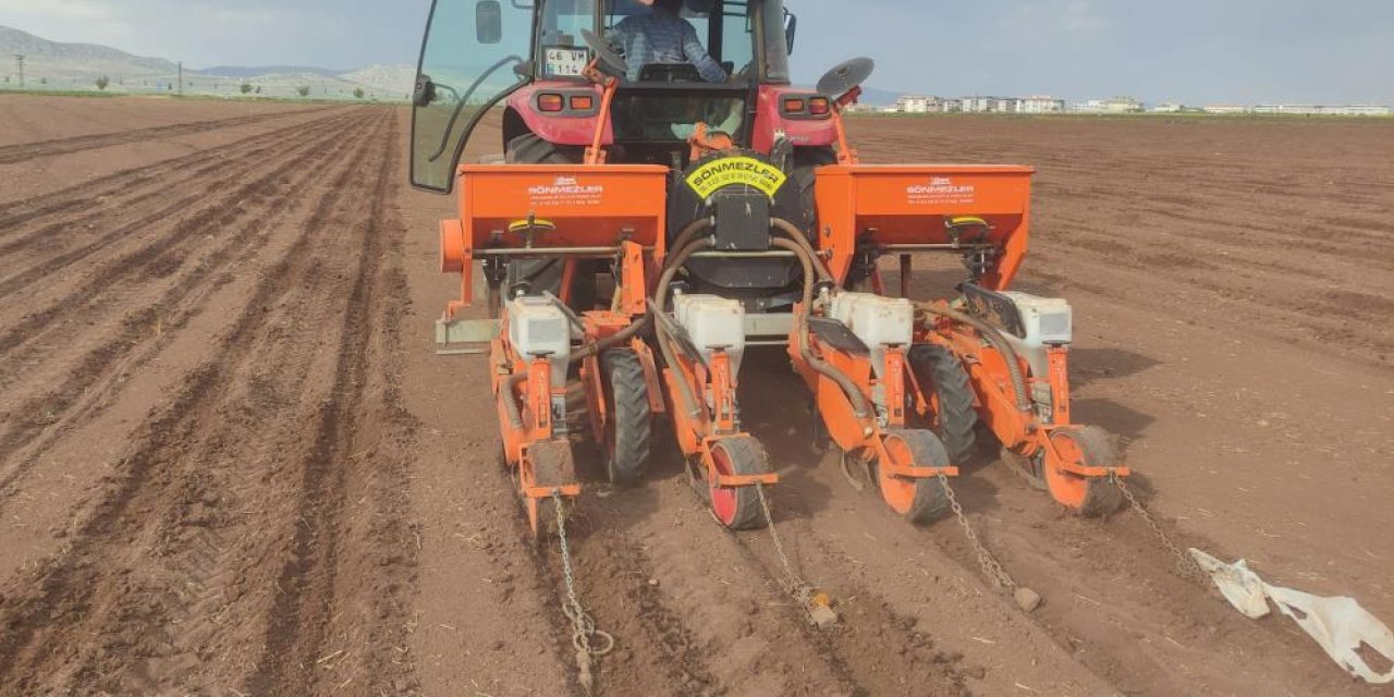Araban Ovası’nda pamuk ekimine başlandı