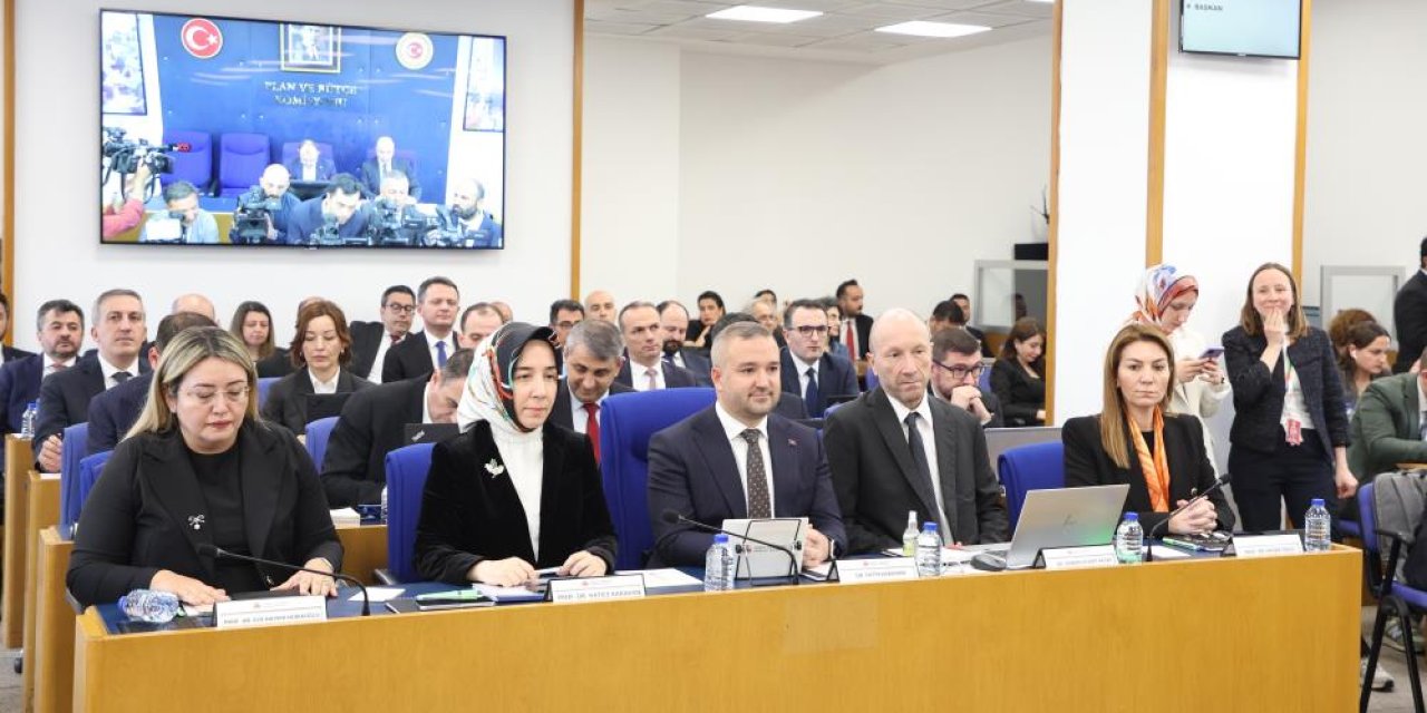 Zirai donun enflasyona etkisi ne kadar oldu