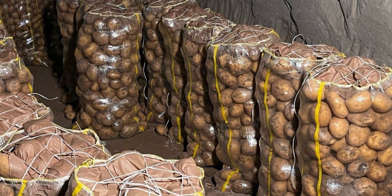 Dikkat  Patateste virüs çıktı! hepsi geri gönderildi