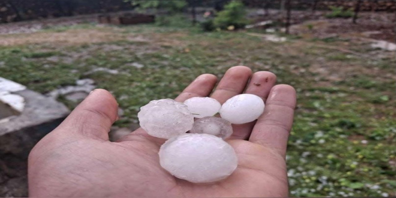 Gaziantep fıstığını 'yok yılı'nda bir de dolu vurdu