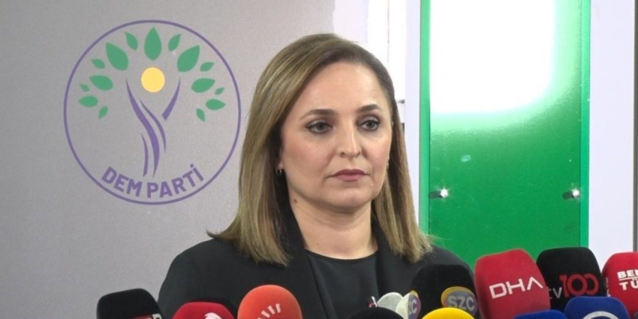 DEM Parti Sözcüsü Doğan: "PKK silahlara veda ettiğini duyurdu"