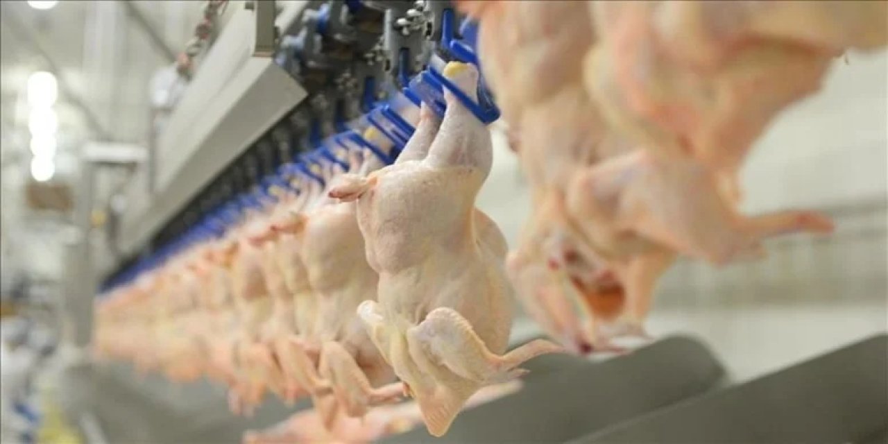 Ünlü tavuk firmasında skandal! monocytogenes' bakterisinin bulunduğu tespit edildi