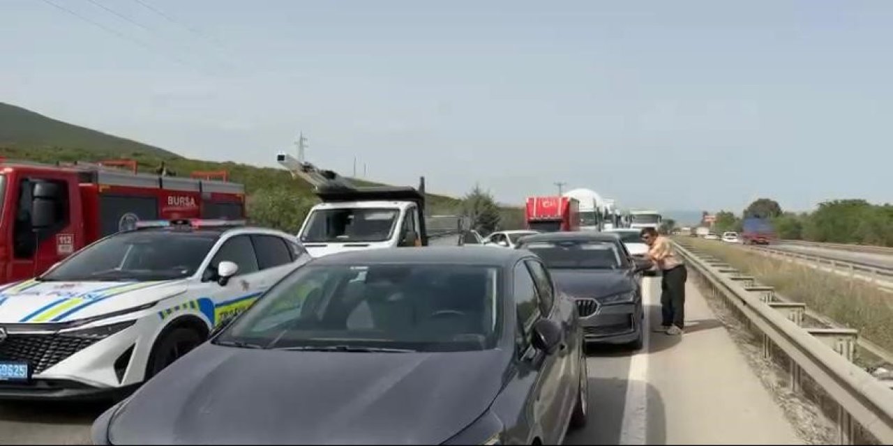 Küçücük bir arı, yüzlerce kişiyi mağdur etti