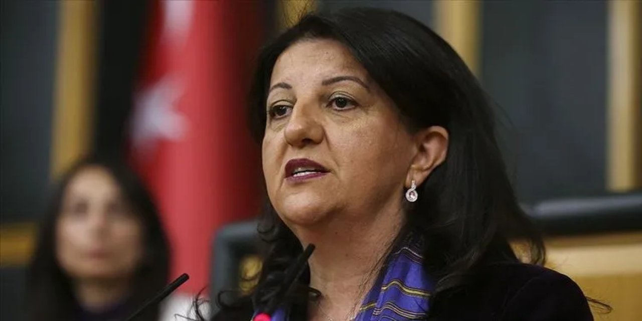 DEM Parti İmralı'ya gidiyor