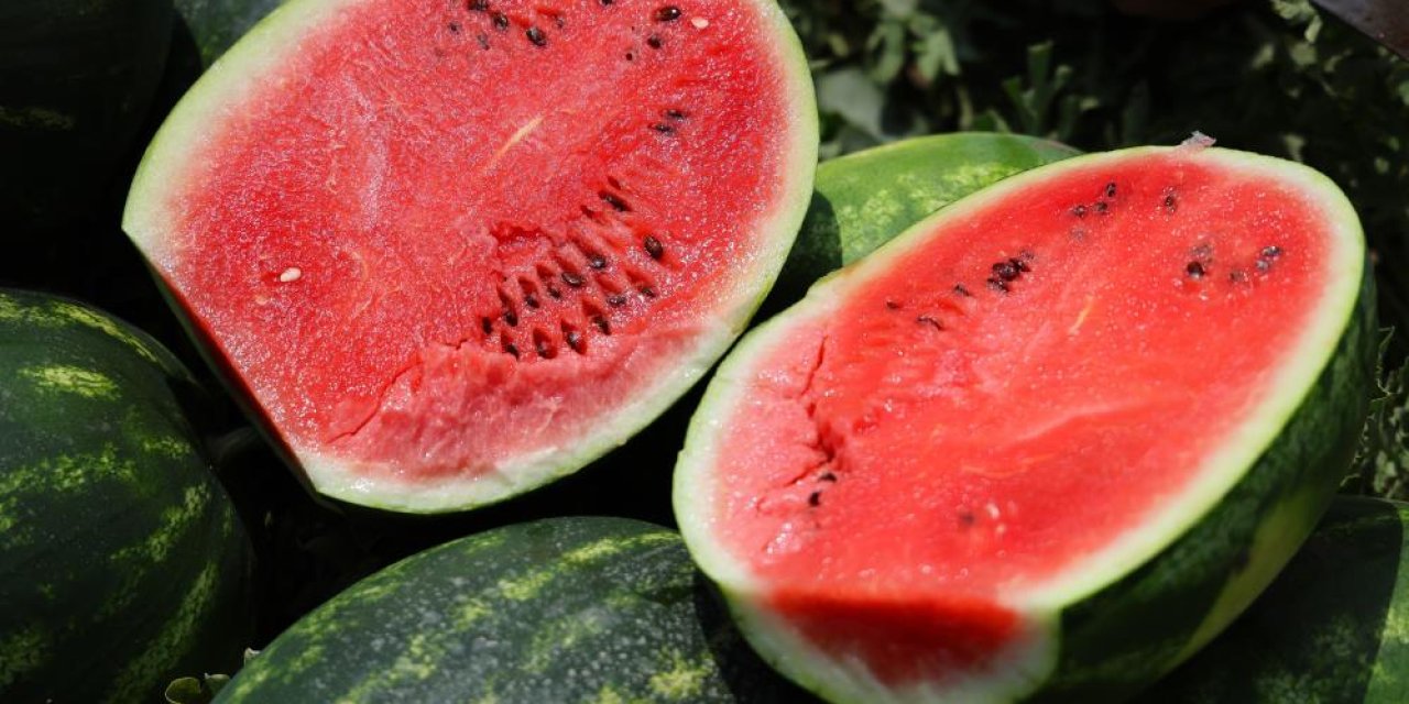 Adana karpuzunda hasat başladı