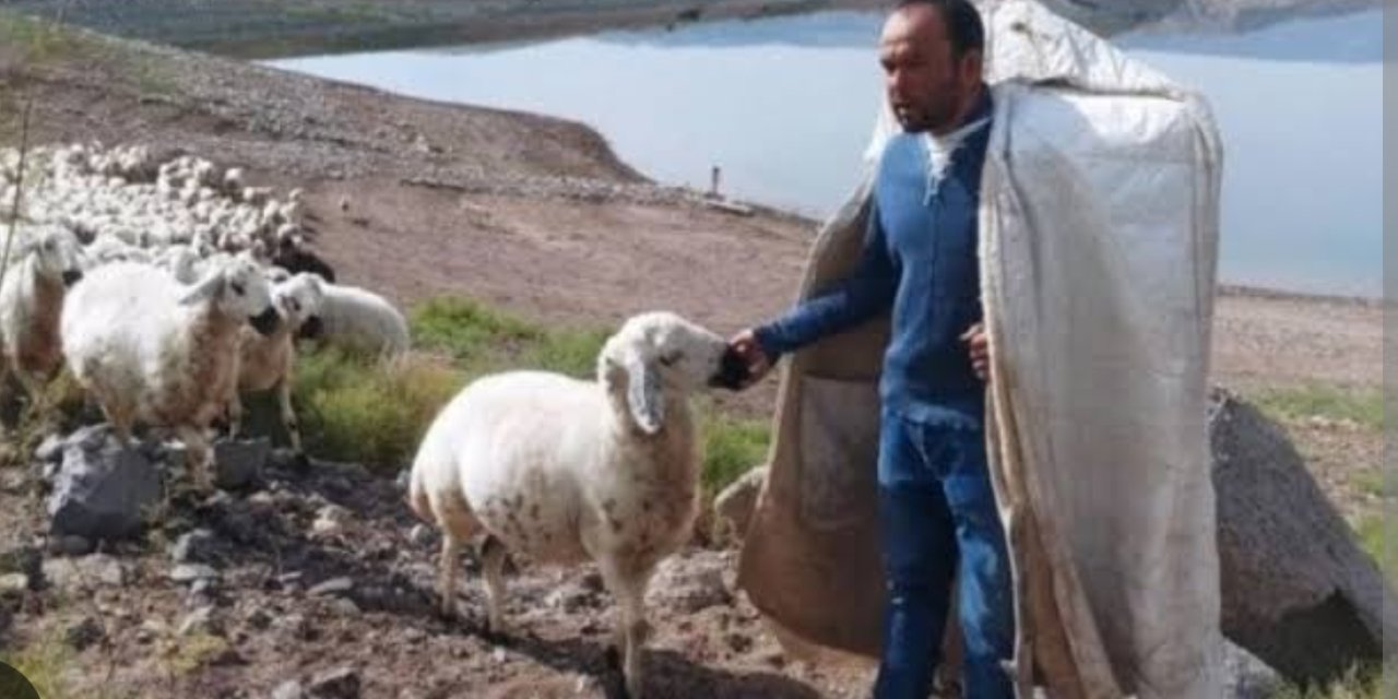 Malatya’da yetiştiriciler yayla yoluna çıktı