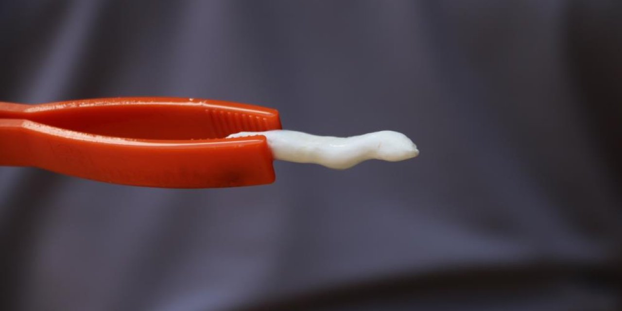 Bu sakızın fiyatı, yarım altınla yarışıyor