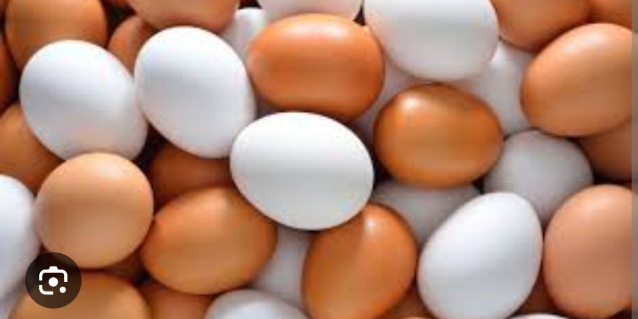 Sofralık yumurta ihracatına muafiyet