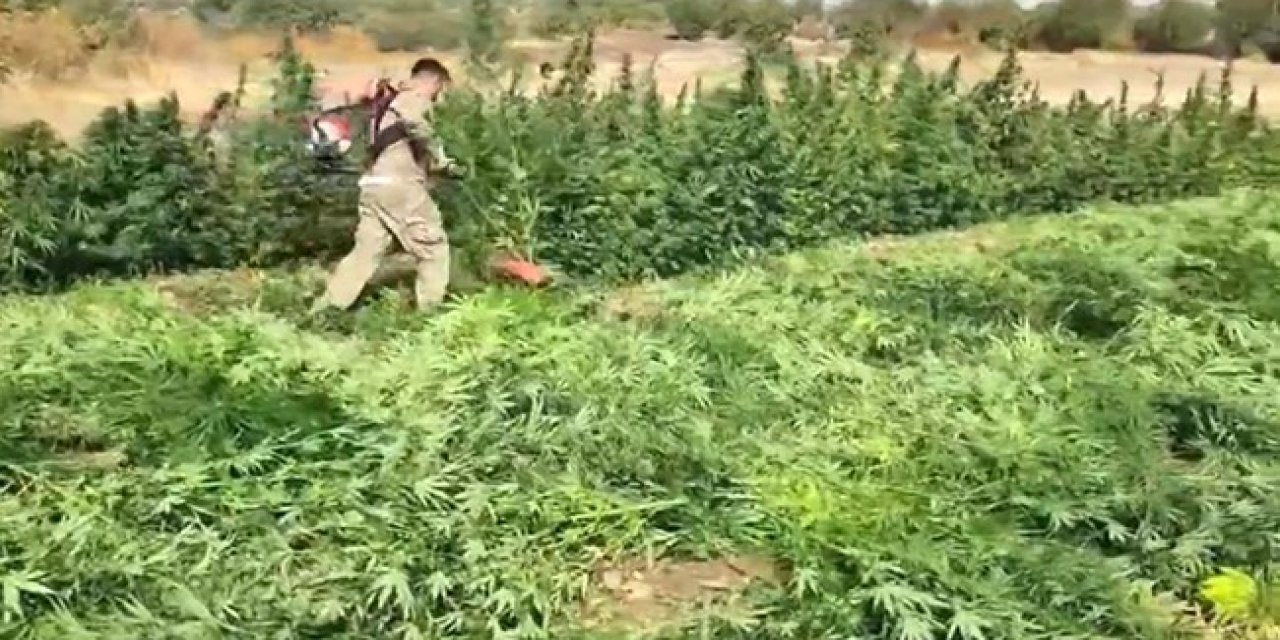 Diyarbakır’da 70 ton esrar ele geçirildi