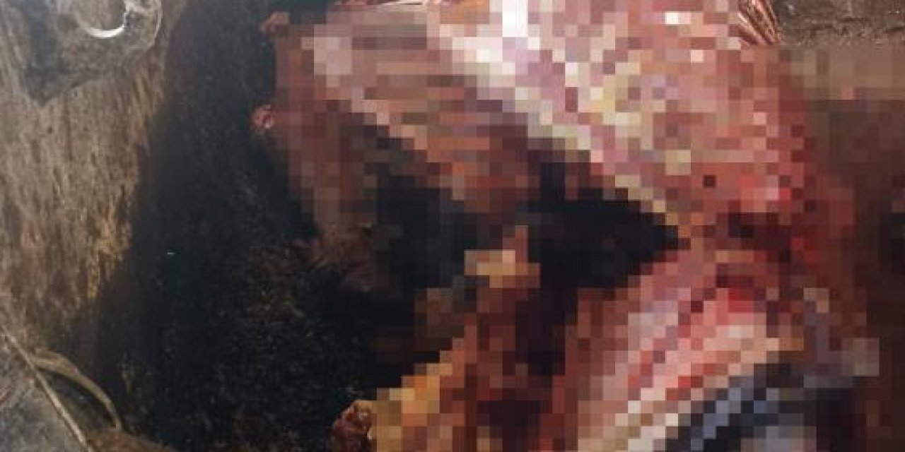 Adana'da tonlarca at eti ele geçirildi