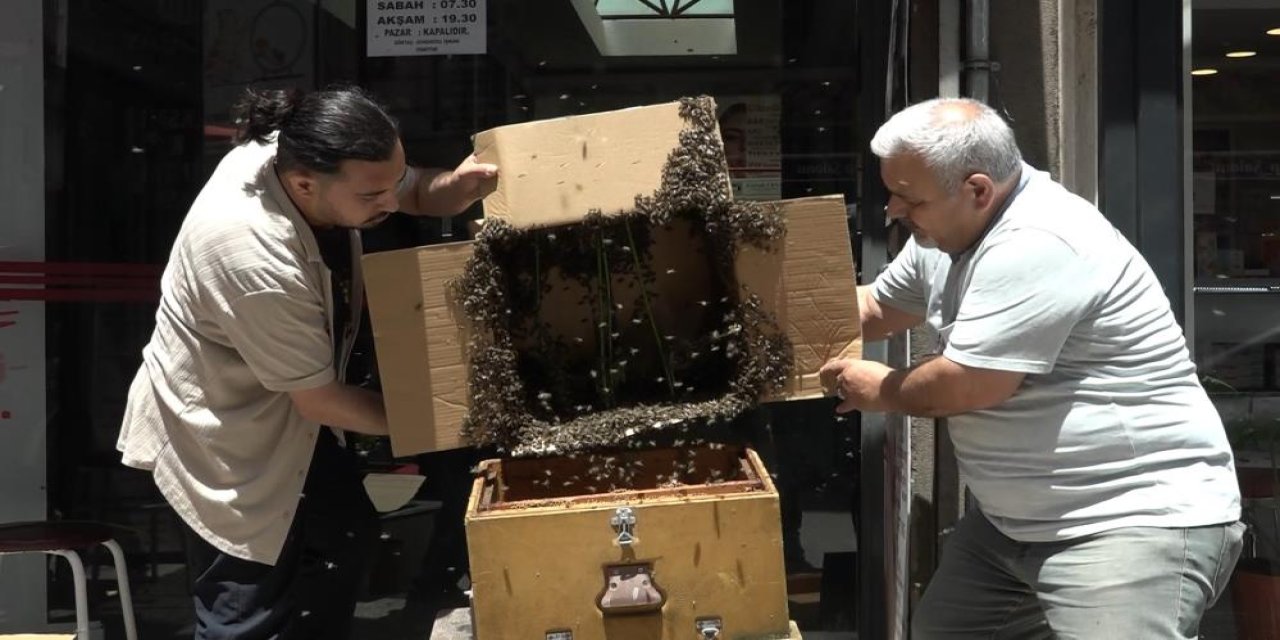 Arılar iş merkezini bastı, korku dolu anlar yaşandı