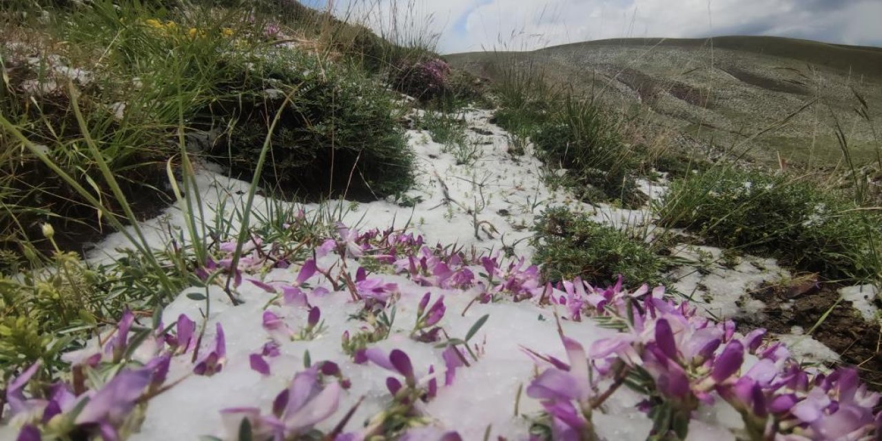 Haziran ayında kar sürprizi
