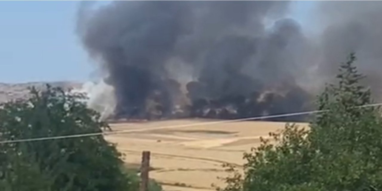 Siirt’te buğday tarlası yanarak kül oldu