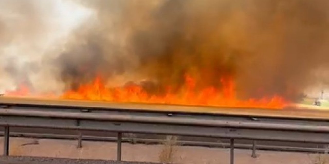 Viranşehir ilçesinde,100 dönüm buğday kül oldu