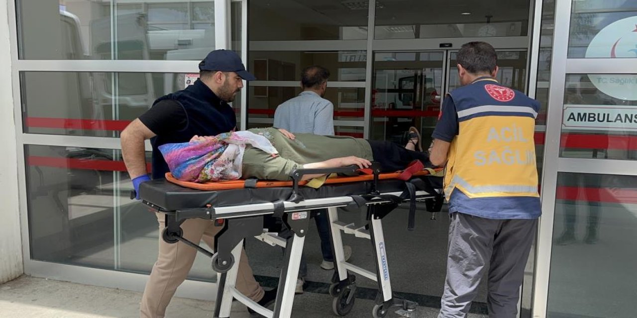 Freni boşalan otomobil şarampole devrildi: 8 yaralı