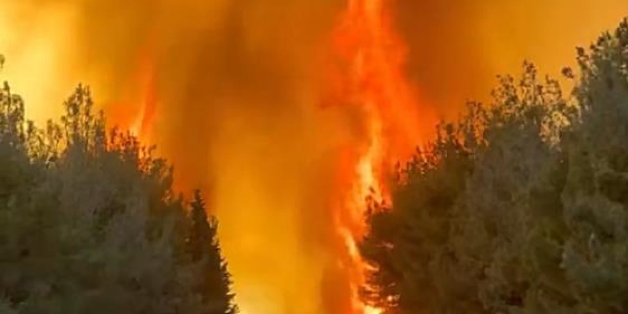 Aliağa'daki yangın Foça’ya doğru genişledi, bazı evler tahliye edildi