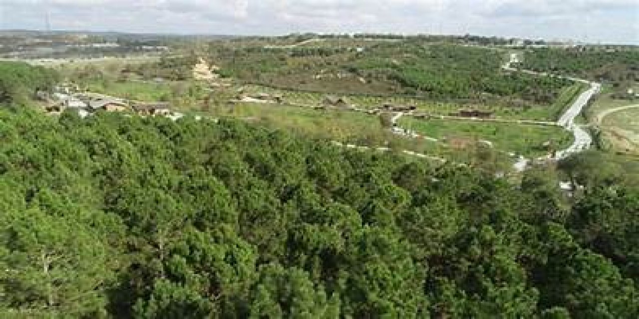 Kilis'te ormanlara giriş yasaklandı