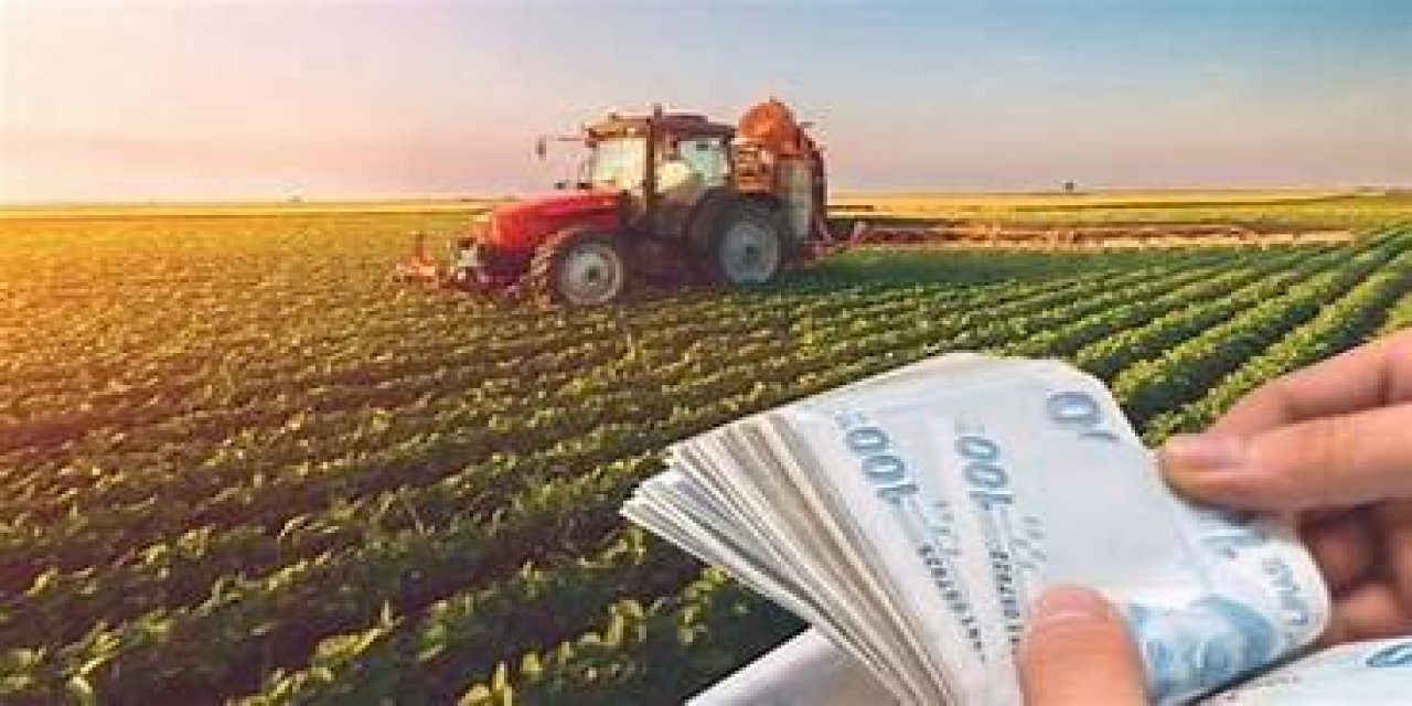 Cumhurbaşkanı'ndan çiftçilere kredi müjdesi