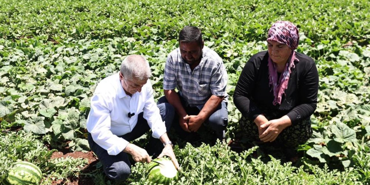Tahmazoğlu, tarlada patlıcan ve biber hasadına katıldı