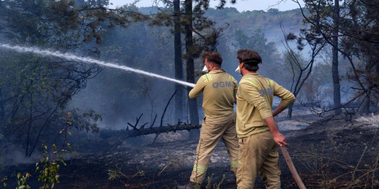 Edirne'de orman yangını: İstanbul, Tekirdağ, Kırklareli ve Edirne Orman ekipleri alarmda