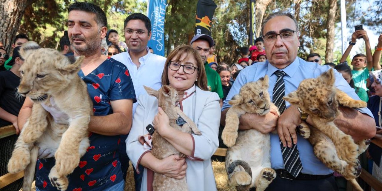 Gaziantep doğal yaşam parkı cıvıl cıvıl