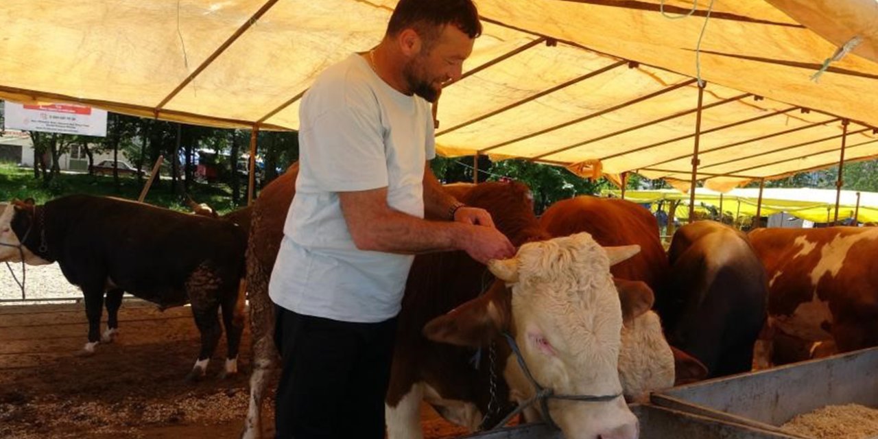 Ülke genelinde tüm hayvan pazarları kapatıldı