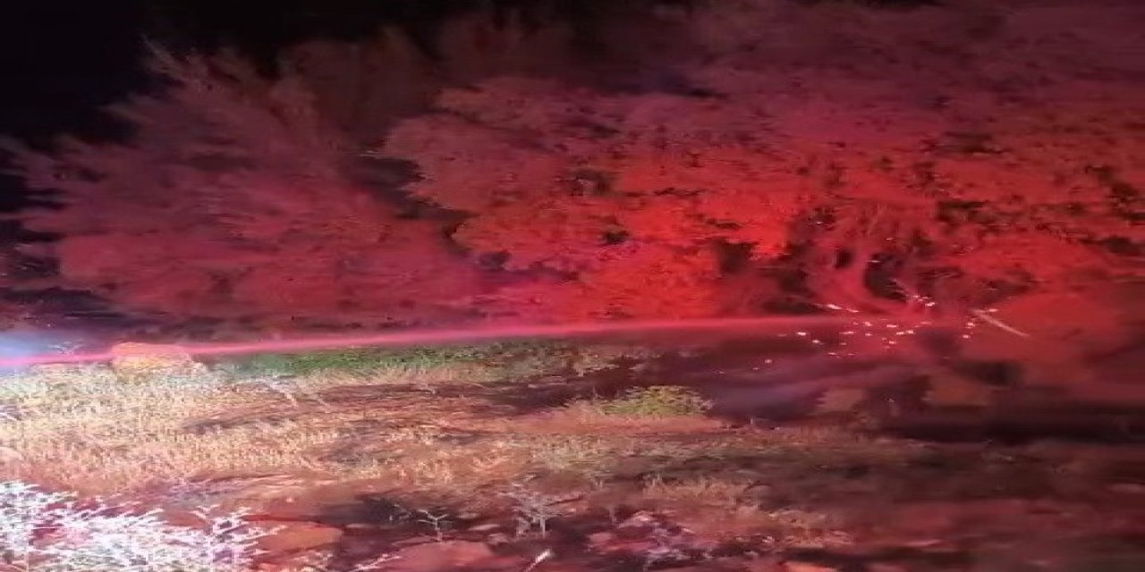 Besni’de 600 dönümlük ormanlık alan küle döndü