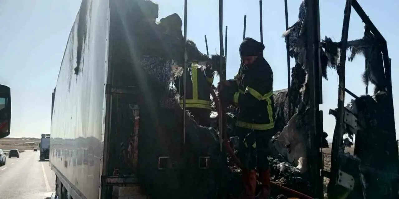 Urfa'da alev alan gıda yüklü tır, tamamen yandı