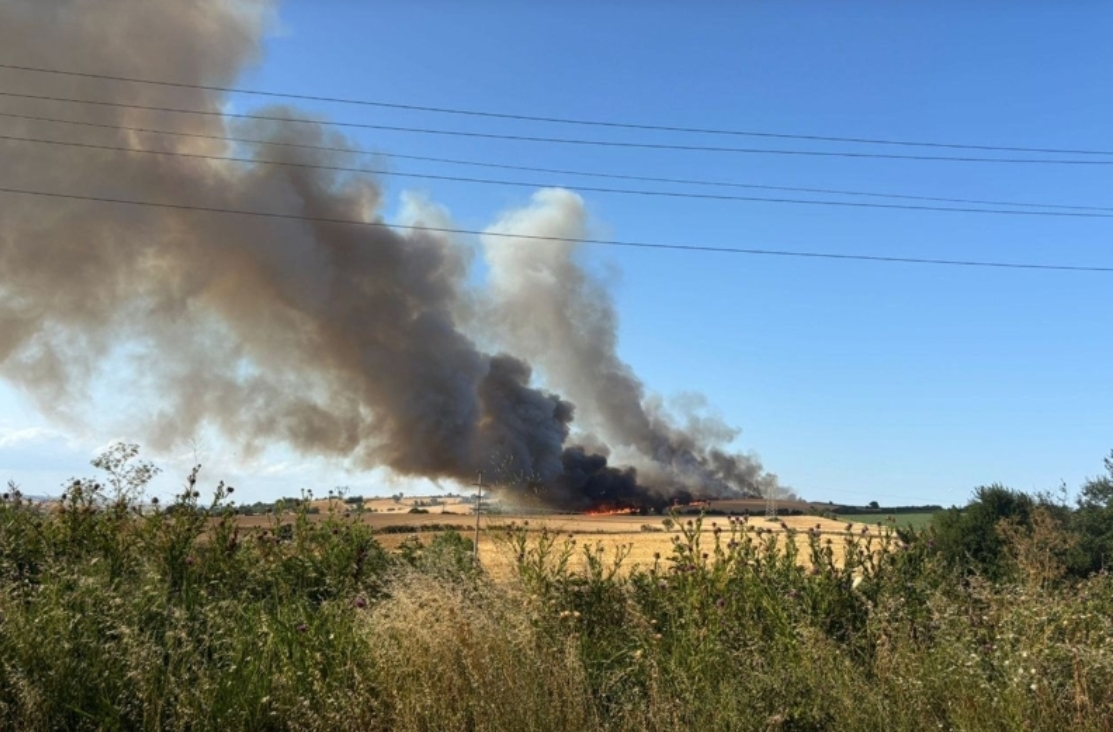 Tekirdağ yanıyor, çok miktarda ekili alan ve 200 arı kovanı yandı