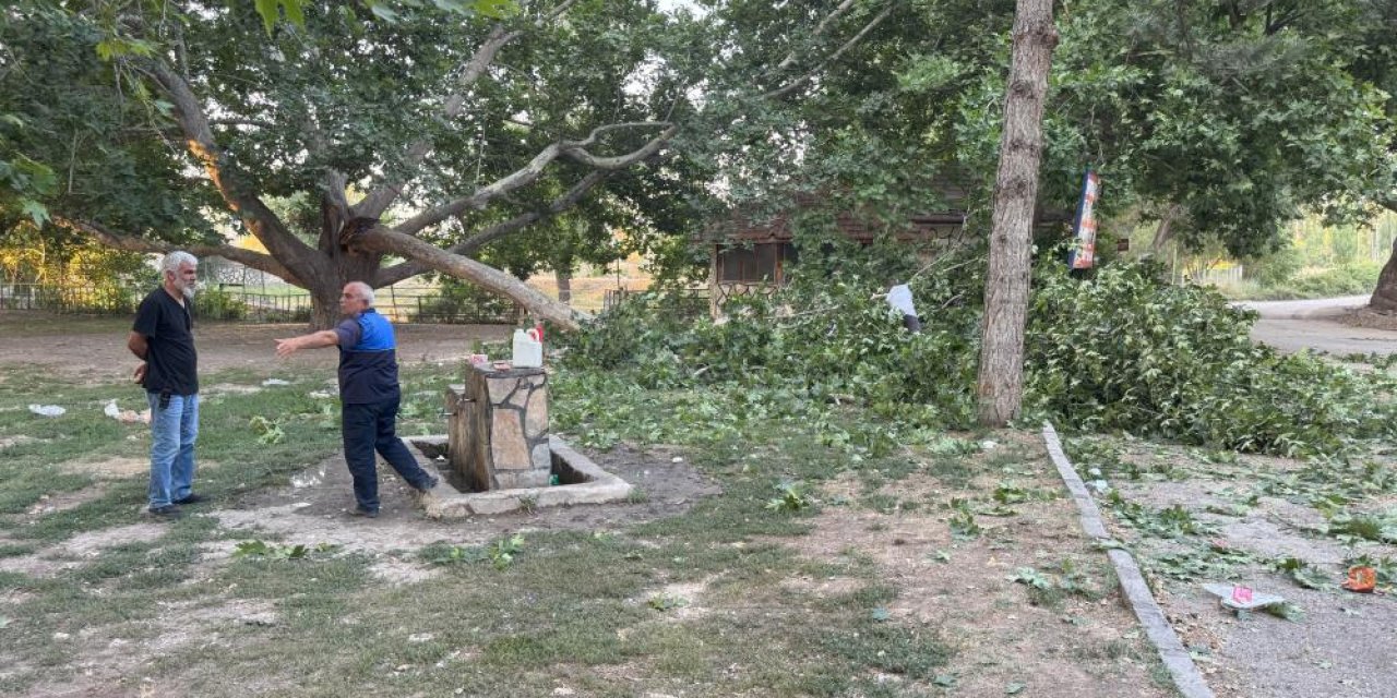 Piknik faciaya dönüştü:11 yaralı