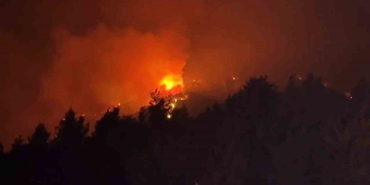 Sakarya yanıyor, iki mahalle boşalttıldı