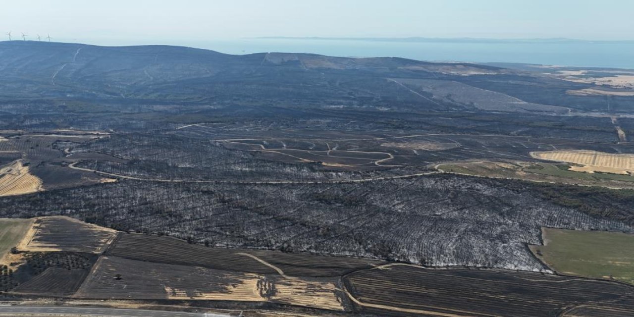 Yangının büyüklüğü şaşkına çevirdi: 119 Futbol Sahası kadar alan kül oldu