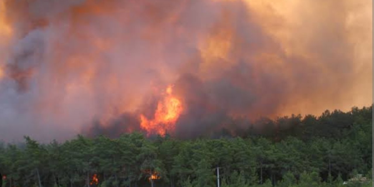 Uzmandan uyarı; “Yangın riskine karşı tatbikatlar neden yapılmıyor