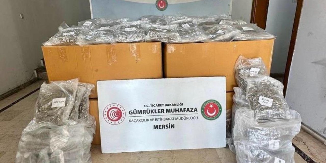 Mersin Limanı'nda 587 kilogram esrar ele geçirildi