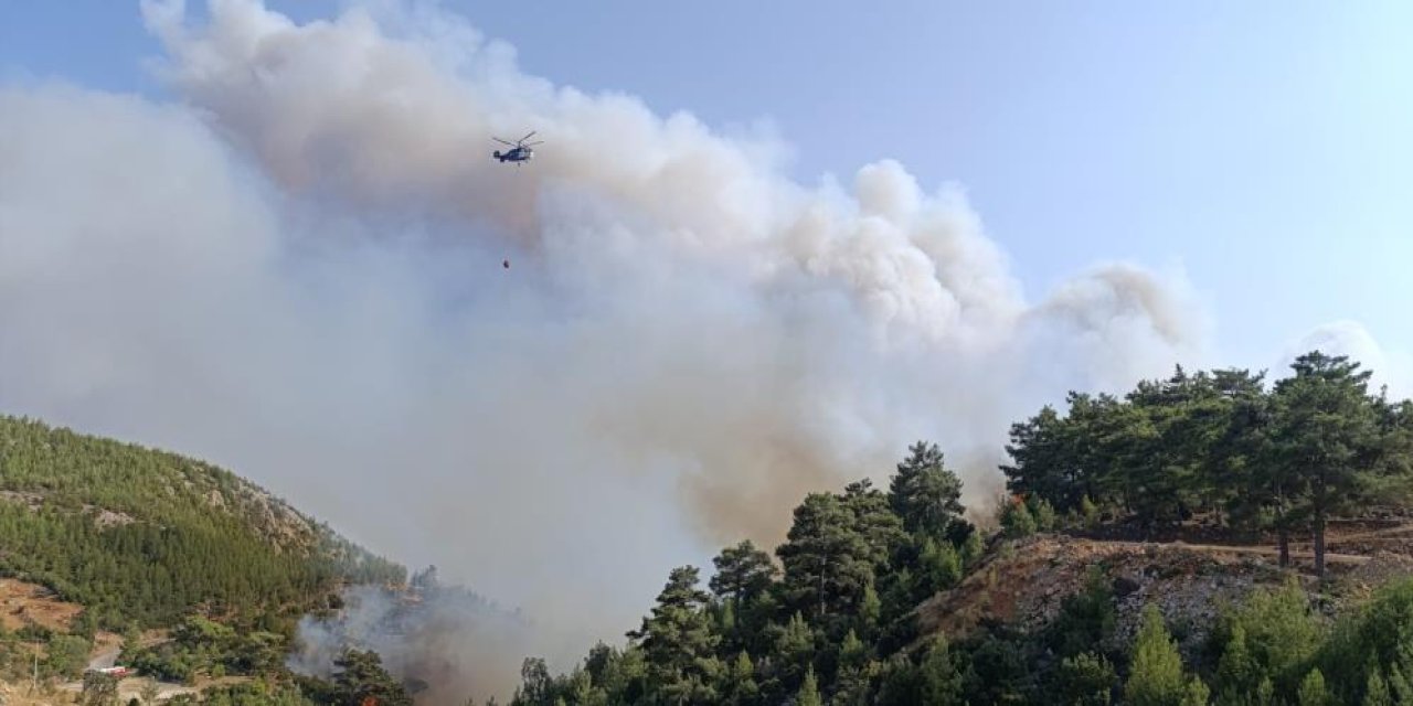 Mersin'deki orman yangını: 5 ilden takviye geldi ekiplerin müdahalesi sürüyor