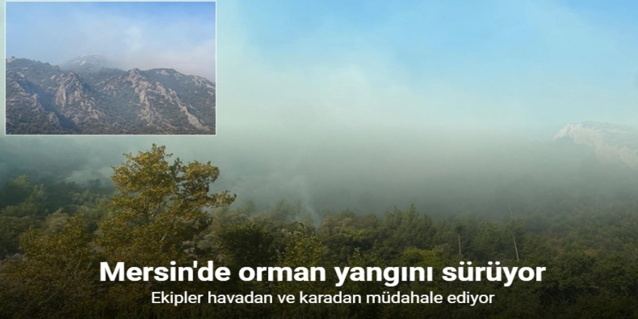 Mersinde orman yangını sürüyor, kavurucu sıcak ve rüzgar müdahaleyi zorlaştırıyor