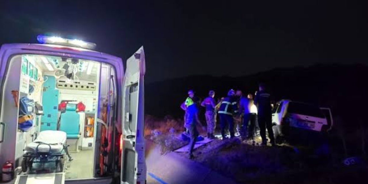 Bingöl’de ticari araç ata çarptı: 1 ölü, 1 yaralı