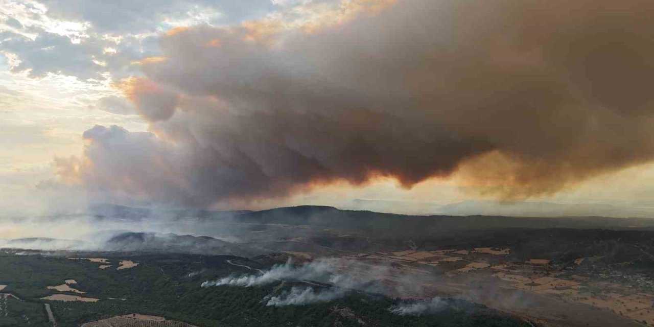 Çanakkale’de yangın nedeniyle Tarihi Alan’ın kuzey hattı geçici süreyle kapatıldı