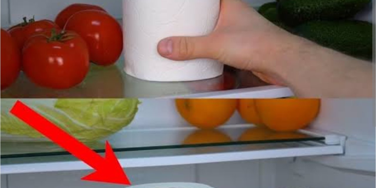 Tuvalet kağıdını Buzdolabına koyun, farkı hemen görün