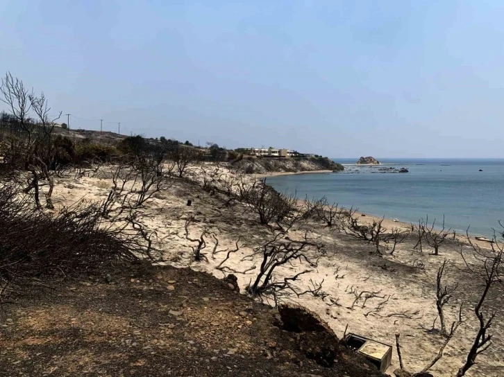 Yunanistan orman yangını 6 gündür devam ediyor: 19 bin kişi tahliye edildi